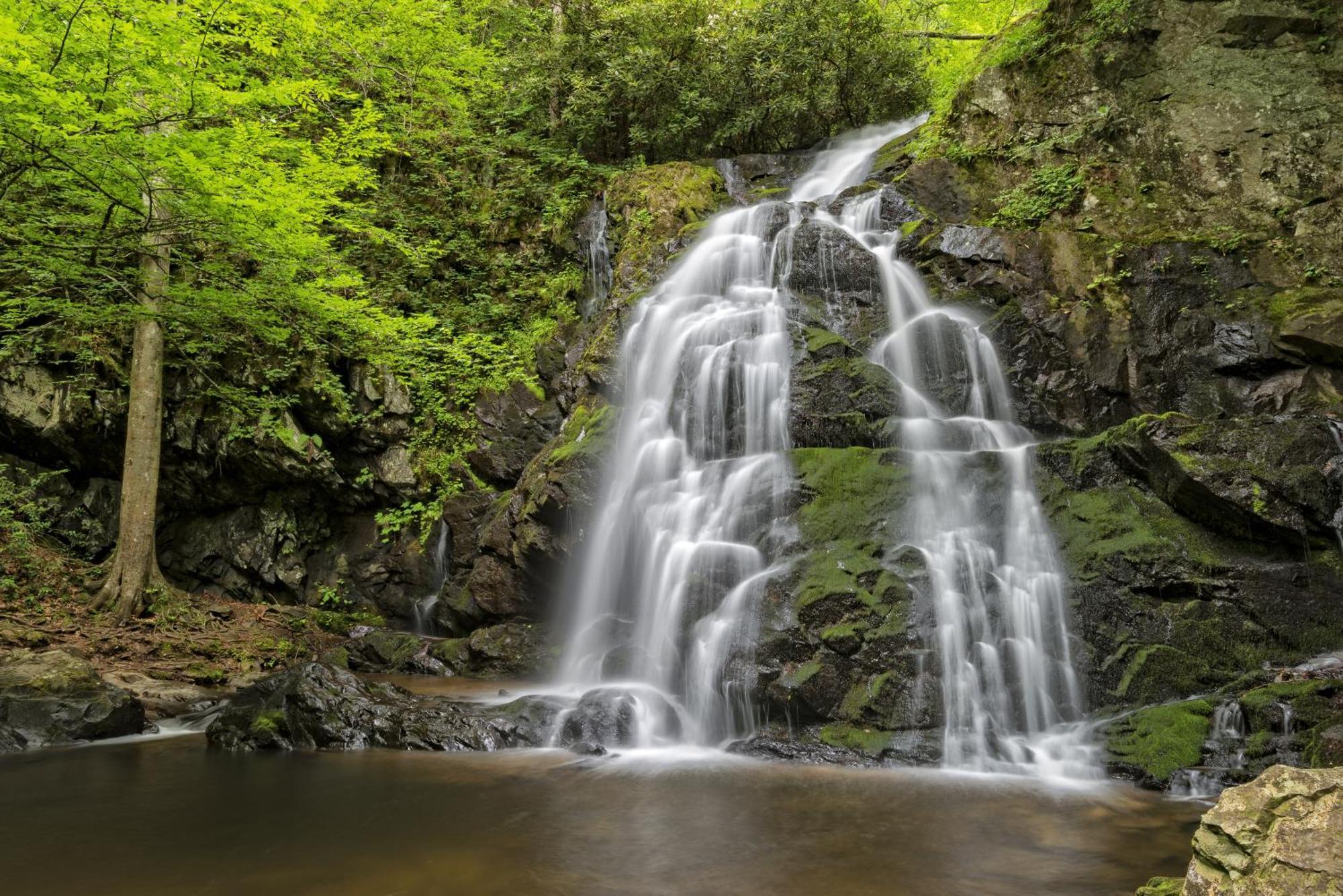 River Breeze, Wifi, 1089 Free Tickets Each Paid Day, Dollywood And More Pigeon Forge Luaran gambar